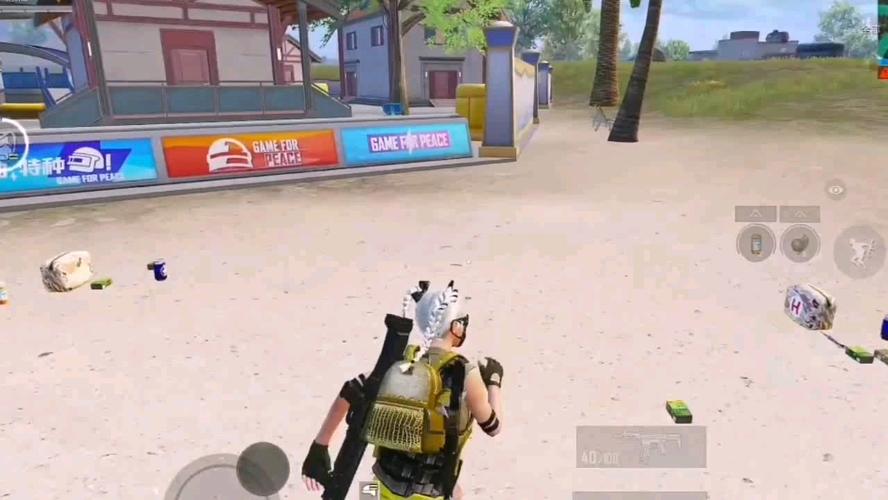 【哮天犬容器直装V1.11】哮天犬回归版，两三年的老牌项目。无需更新，无视检测，演戏持续稳死中。支持观透，支持地铁房录频。